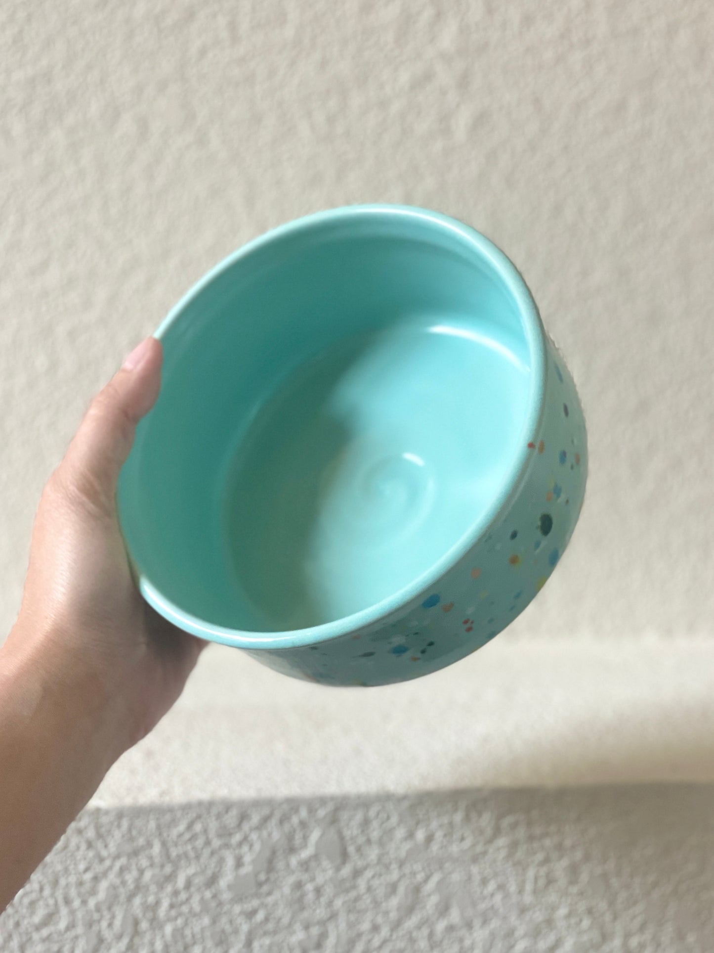Confetti Pet Bowl