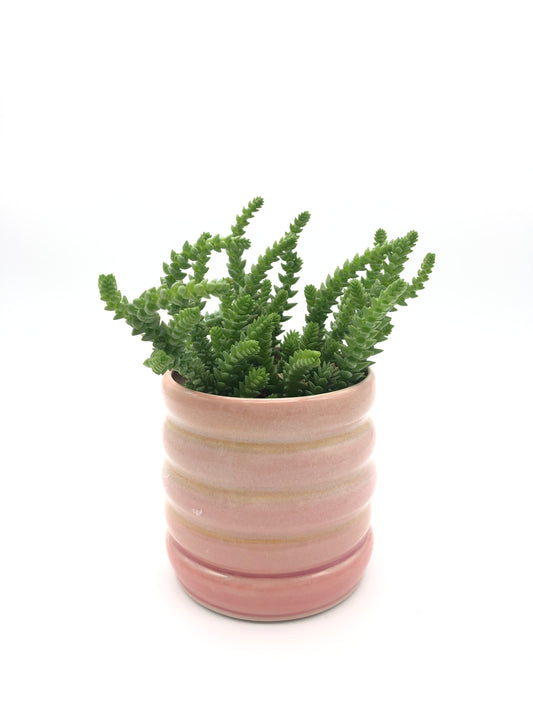 Small Planter