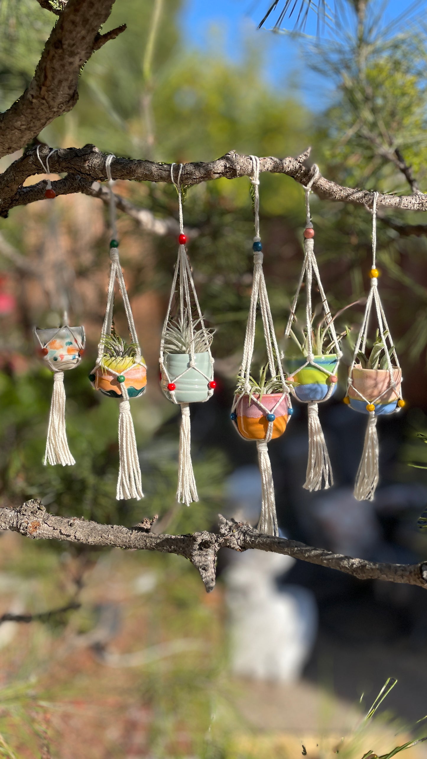 Mini Hanging Pots