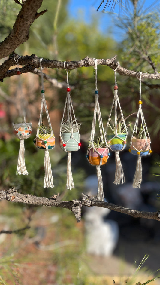 Mini Hanging Pots
