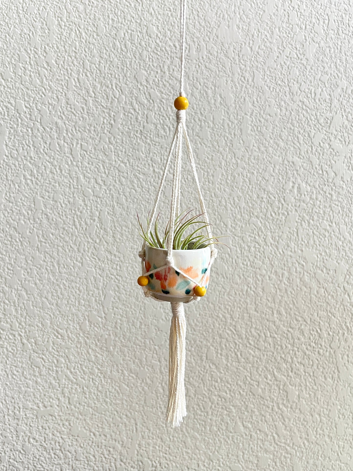 Mini Hanging Pots