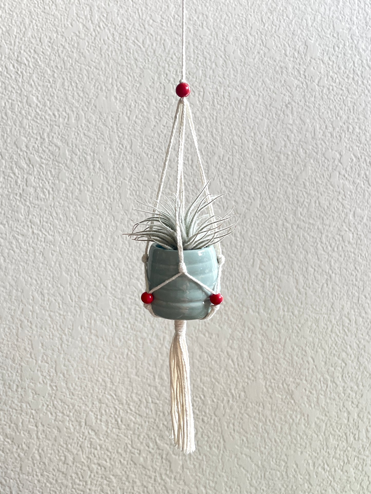 Mini Hanging Pots