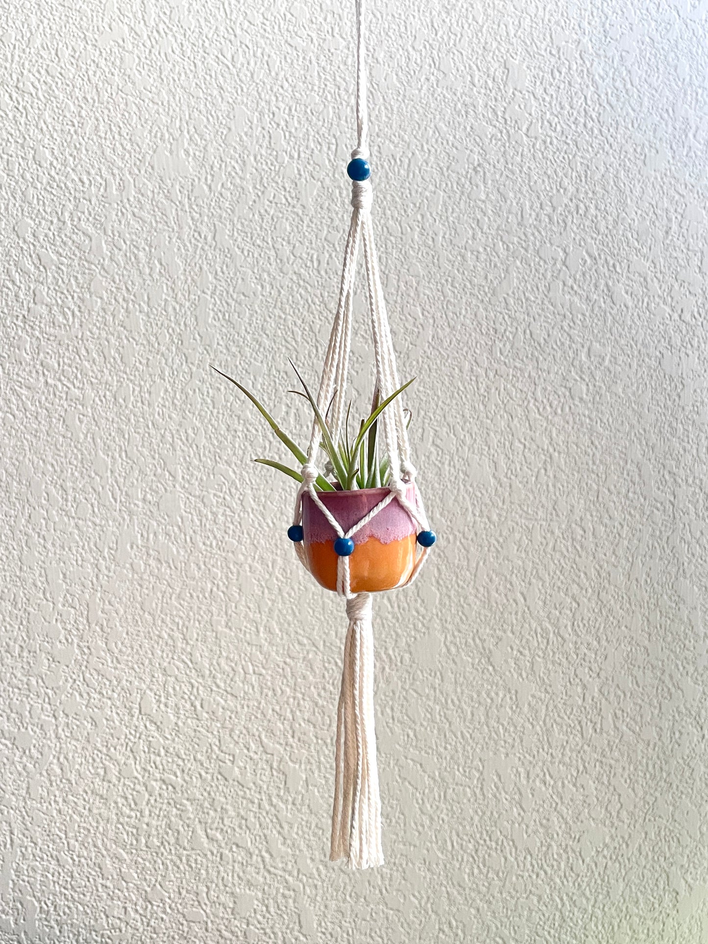 Mini Hanging Pots
