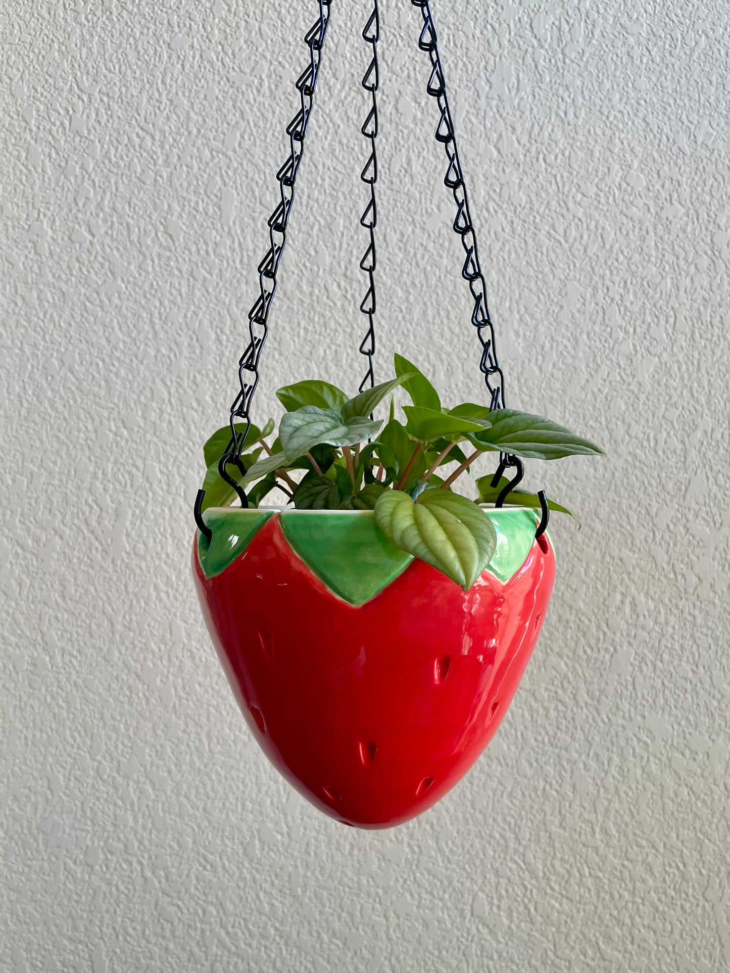 Hanging Strawberry Planter
