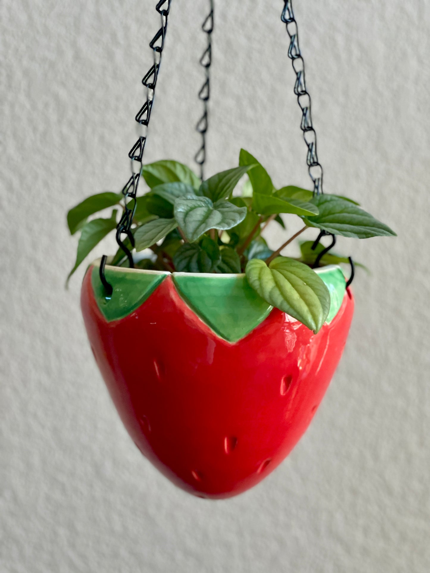 Hanging Strawberry Planter